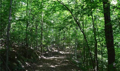 Photo #21 of 338-278 Hancock, Reidsville, NC 60.0 acres