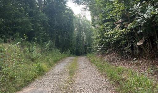 Photo #2 of 1170 Timber Ridge, Westfield, NC 19.0 acres