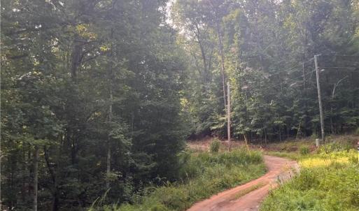 Photo #6 of 1170 Timber Ridge, Westfield, NC 19.0 acres