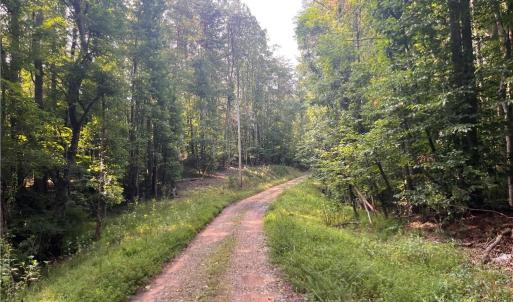 Photo #1 of 1170 Timber Ridge, Westfield, NC 19.0 acres