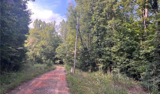 Photo #5 of 1170 Timber Ridge, Westfield, NC 19.0 acres