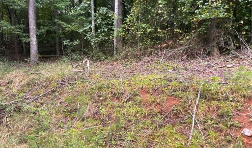 Photo #9 of 1170 Timber Ridge, Westfield, NC 19.0 acres