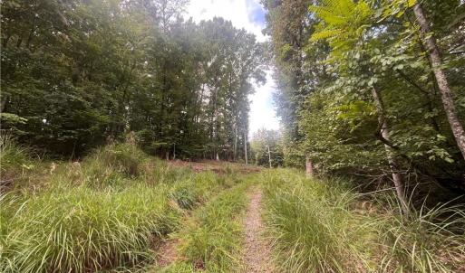 Photo #14 of 1170 Timber Ridge, Westfield, NC 19.0 acres