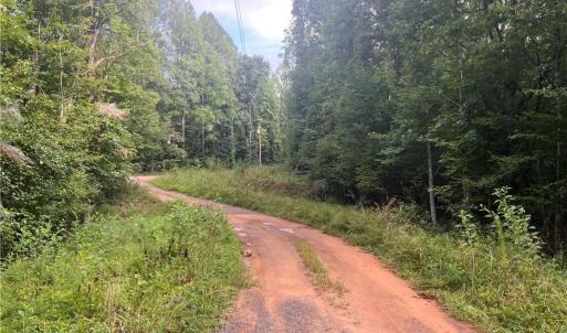 Photo #18 of 1170 Timber Ridge, Westfield, NC 19.0 acres