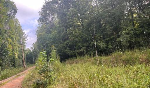 Photo #15 of 1170 Timber Ridge, Westfield, NC 19.0 acres