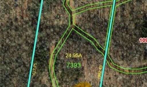 Photo #19 of 1170 Timber Ridge, Westfield, NC 19.0 acres