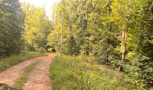 Photo #4 of 1170 Timber Ridge, Westfield, NC 19.0 acres