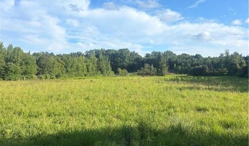 Photo #2 of 766 Chaney, Asheboro, NC 107.9 acres