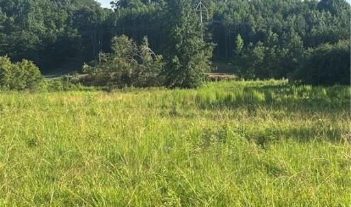 Photo #6 of 766 Chaney, Asheboro, NC 107.9 acres