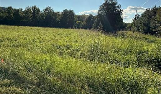 Photo #1 of 766 Chaney, Asheboro, NC 107.9 acres