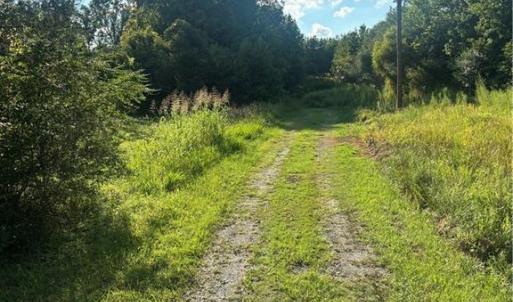 Photo #5 of 766 Chaney, Asheboro, NC 107.9 acres