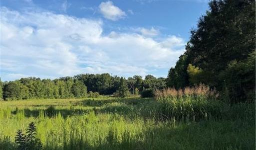 Photo #4 of 766 Chaney, Asheboro, NC 107.9 acres