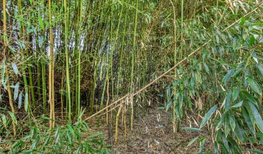 Photo #6 of TBD Merrimac, Winston-Salem, NC 0.2 acres