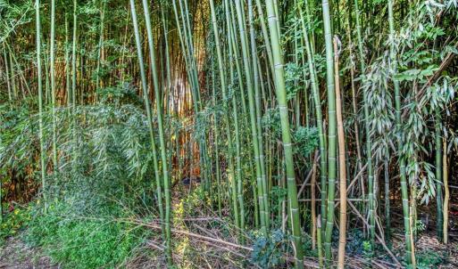 Photo #5 of TBD Merrimac, Winston-Salem, NC 0.2 acres