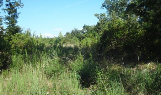 Viewing East at the property from Garner Road.