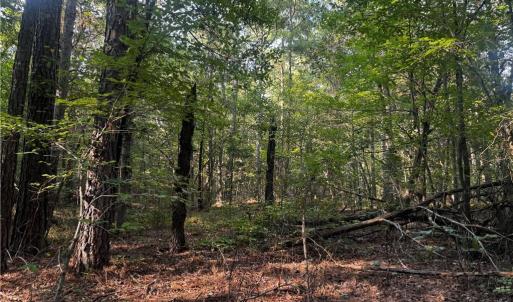 Photo #3 of Sheffield, Seagrove, NC 0.7 acres