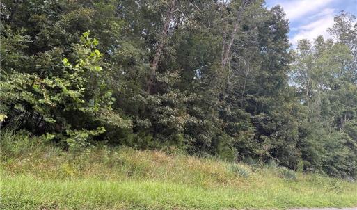 Photo #1 of 7149 Nature, Liberty, NC 10.3 acres