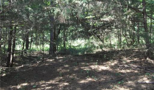 Photo #7 of Clyde King, Seagrove, NC 24.4 acres