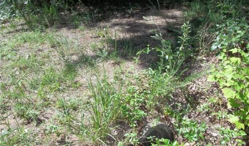 Photo #5 of Clyde King, Seagrove, NC 24.4 acres