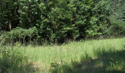 Photo #9 of Clyde King, Seagrove, NC 24.4 acres