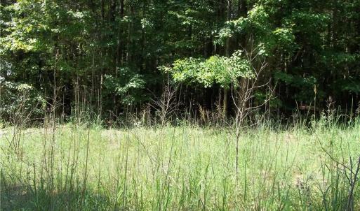 Photo #10 of Clyde King, Seagrove, NC 24.4 acres