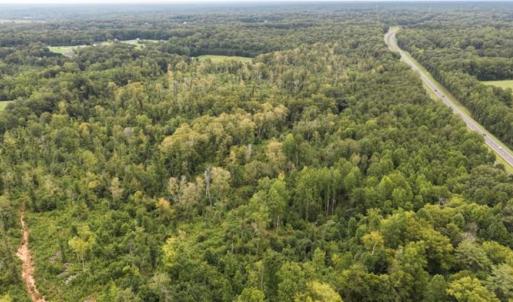 Photo #1 of Scott, Lewisville, NC 104.2 acres