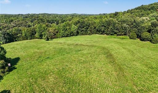 Photo #6 of 3883 Millikan Farm, Franklinville, NC 35.1 acres