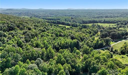 Photo #13 of 3883 Millikan Farm, Franklinville, NC 35.1 acres
