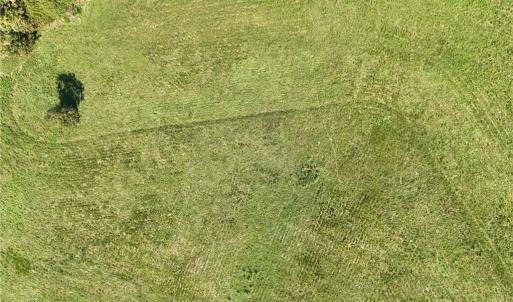 Photo #7 of 3883 Millikan Farm, Franklinville, NC 35.1 acres