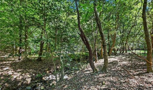 Photo #3 of 3883 Millikan Farm, Franklinville, NC 35.1 acres