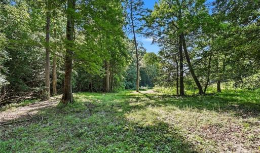 Photo #5 of 3883 Millikan Farm, Franklinville, NC 35.1 acres