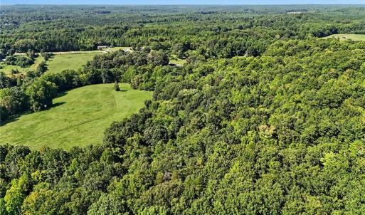 Photo #10 of 3883 Millikan Farm, Franklinville, NC 35.1 acres