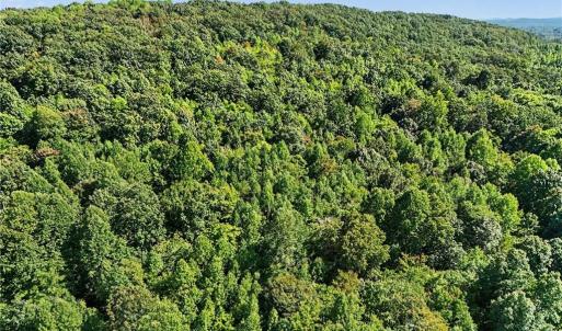 Photo #15 of 3883 Millikan Farm, Franklinville, NC 35.1 acres