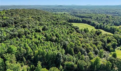 Photo #11 of 3883 Millikan Farm, Franklinville, NC 35.1 acres