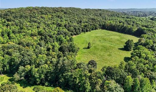 Photo #8 of 3883 Millikan Farm, Franklinville, NC 35.1 acres