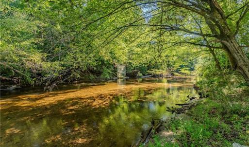 Photo #16 of Claudville, Claudville, VA 56.3 acres