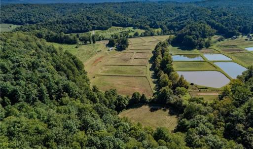 Photo #5 of Claudville, Claudville, VA 56.3 acres