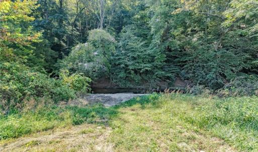 Photo #20 of Claudville, Claudville, VA 56.3 acres