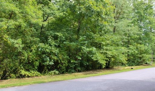 Photo #18 of 238 Bluff, Salisbury, NC 1.1 acres