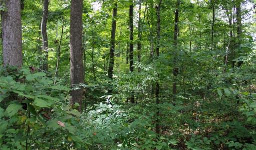 Photo #19 of 238 Bluff, Salisbury, NC 1.1 acres