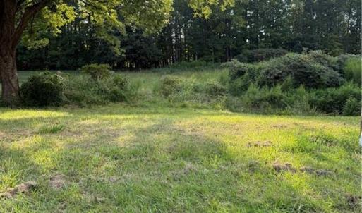 Photo #2 of Turtle Lake, Randleman, NC 0.7 acres