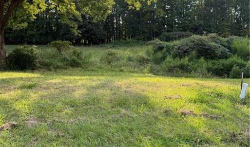 Photo #3 of Turtle Lake, Randleman, NC 0.7 acres