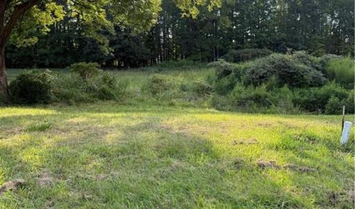 Photo #1 of Turtle Lake, Randleman, NC 0.7 acres