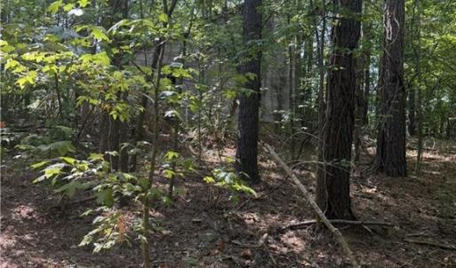 abandoned house site