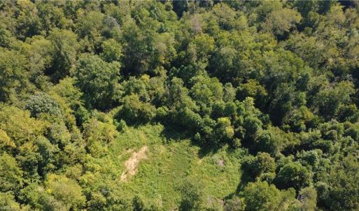 Photo #2 of Palisade, Pfafftown, NC 13.1 acres