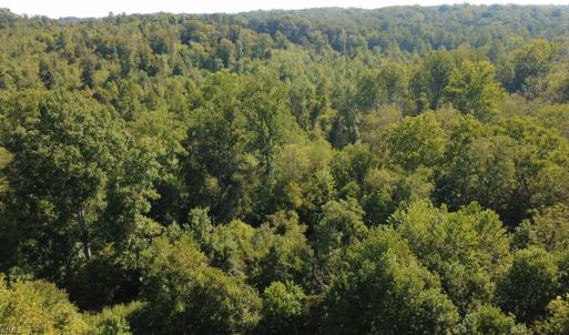 Photo #6 of Palisade, Pfafftown, NC 13.1 acres