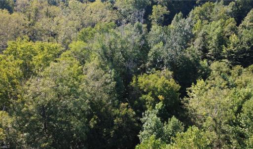 Photo #5 of Palisade, Pfafftown, NC 13.1 acres