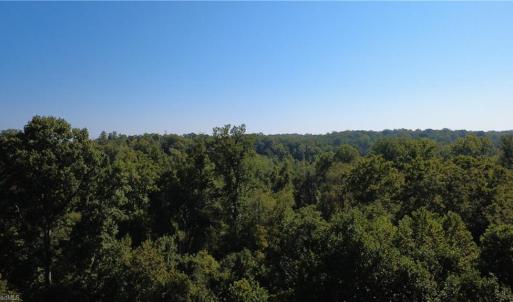 Photo #8 of Palisade, Pfafftown, NC 13.1 acres