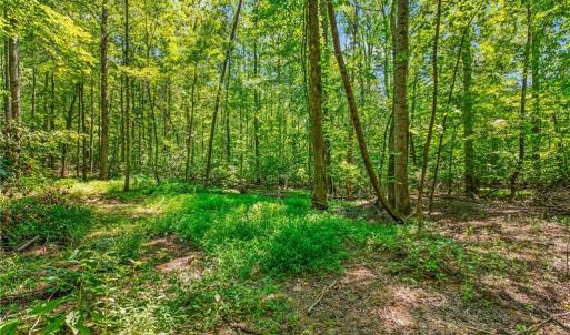 Photo #6 of Alma, Winston-Salem, NC 3.6 acres