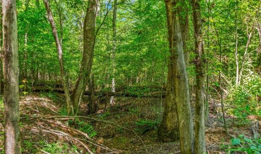 Photo #7 of Alma, Winston-Salem, NC 3.6 acres